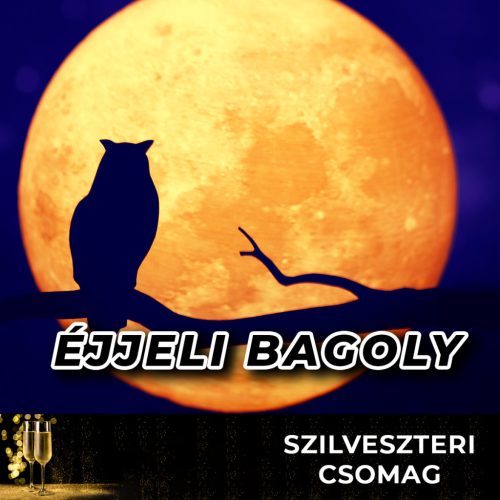 Éjjeli Bagoly