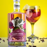 Gong Lady Pink Gin 0,5l