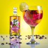 Gong Lady Pink Gin 0,5l