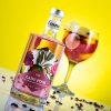 Gong Lady Pink Gin 0,5l