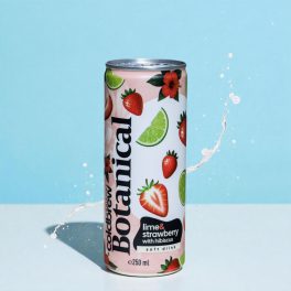   Horizont Cold Brew Botanical Lime & Strawberry with Hibiscus 0,25l