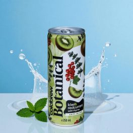   Horizont Cold Brew Botanical Kiwi & Redcurrant with Thyme 0,25l