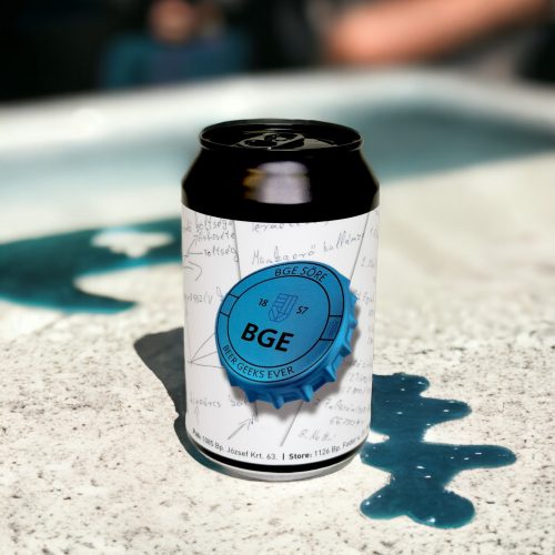 BGE & One Beer Black Elderberry Gose 0,33l