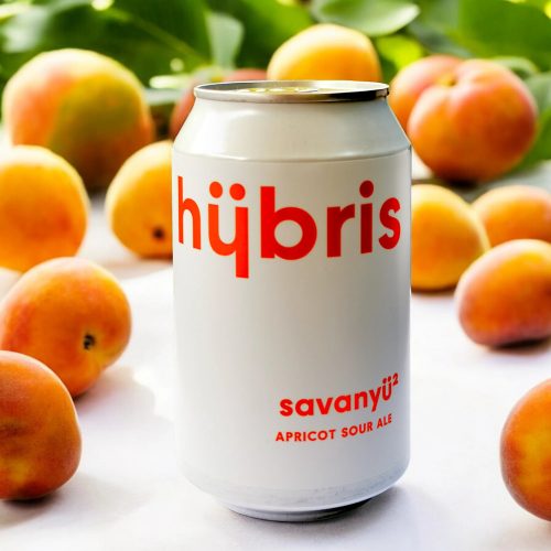 Hübris Savanyü Apricot Sour Ale 033l