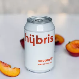 Hübris Savanyü II. Apricot Sour Ale 0,33l
