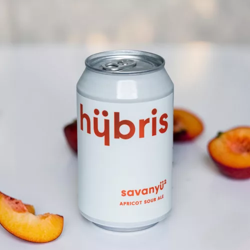 Hübris Savanyü II. Apricot Sour Ale 0,33l