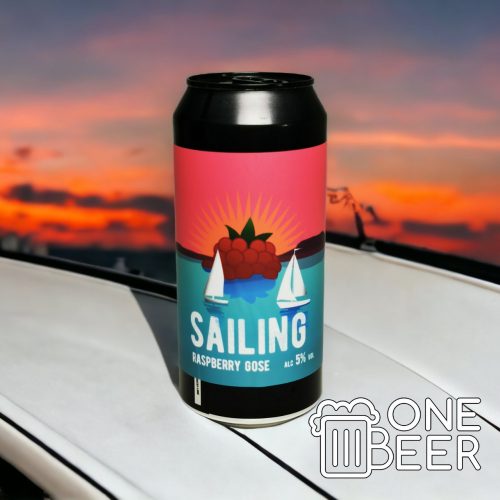 Reketye Sailing Raspberry Gose 0,44l