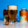 Horizont Playground 008 DDH Imperial American Wheat Ale 0,33l