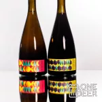 Horizont Sour Series Brett with Apricot 0,75L