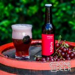 Hübris Müggy 0,33l