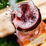 Meccs - Meggyfreccs Baby Karton 12X0,33l