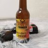 Synthesis Tropic Thunder Mango Pale Ale 0,33l