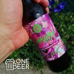 Vandál Revrik IPA 0,33l